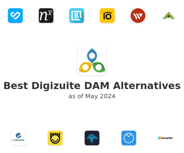 Best Digizuite DAM Alternatives