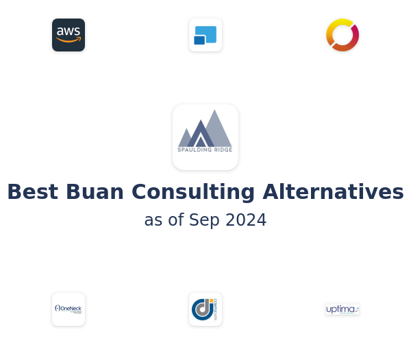 Best Buan Consulting Alternatives