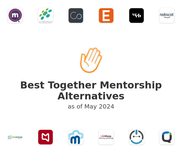 Best Together Mentorship Alternatives