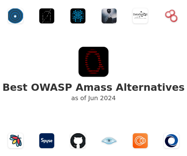 Best OWASP Amass Alternatives