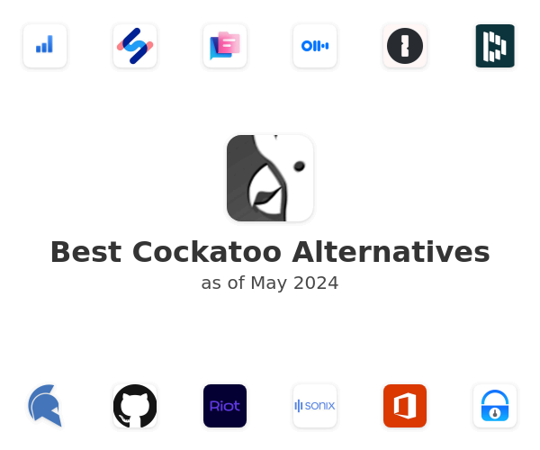 Best Cockatoo Alternatives