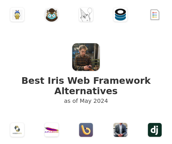 Best Iris Web Framework Alternatives