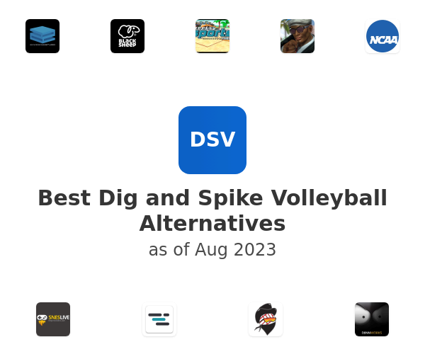 Best Dig and Spike Volleyball Alternatives