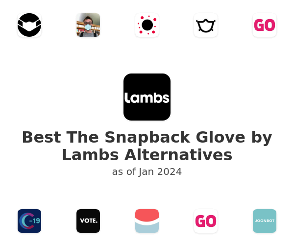 Best The Snapback Glove by Lambs Alternatives