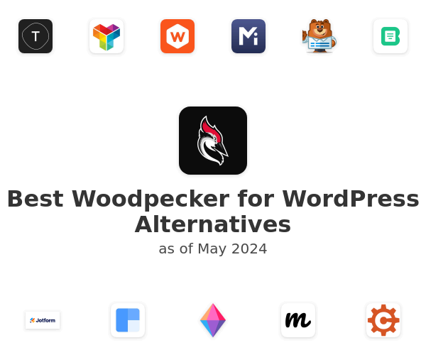 Best Woodpecker for WordPress Alternatives
