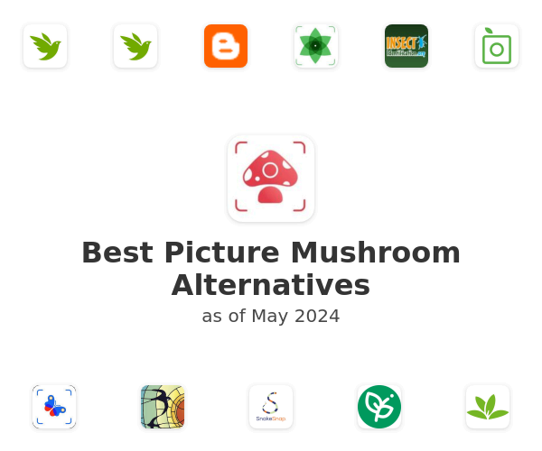 Best Picture Mushroom Alternatives