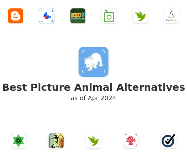 Best Picture Animal Alternatives