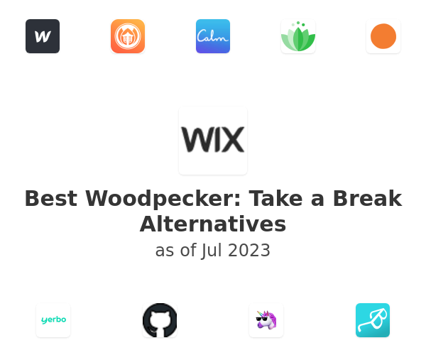 Best Woodpecker: Take a Break Alternatives