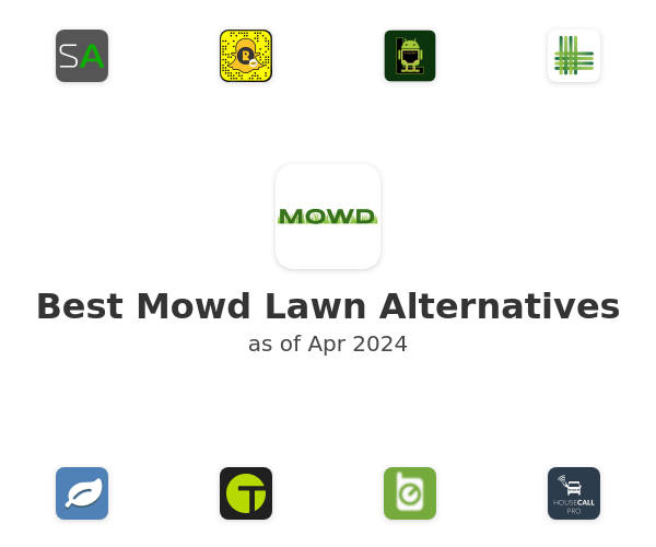 Best Mowd Lawn Alternatives