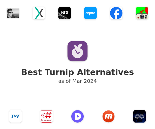 Best Turnip Alternatives