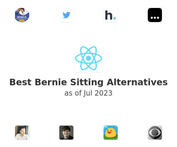 Best Bernie Sitting Alternatives