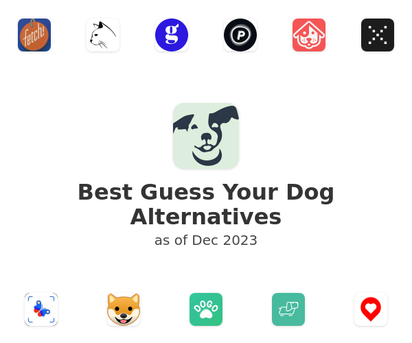 Best Guess Your Dog Alternatives