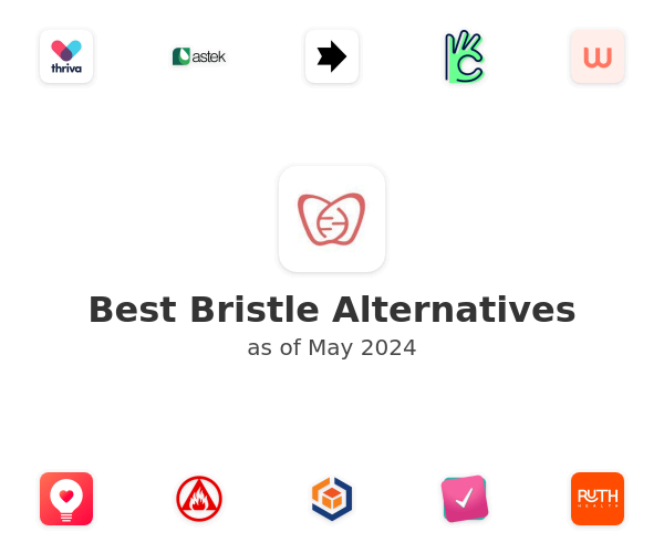 Best Bristle Alternatives