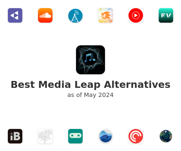 Best Media Leap Alternatives
