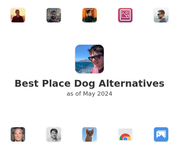 Best Place Dog Alternatives