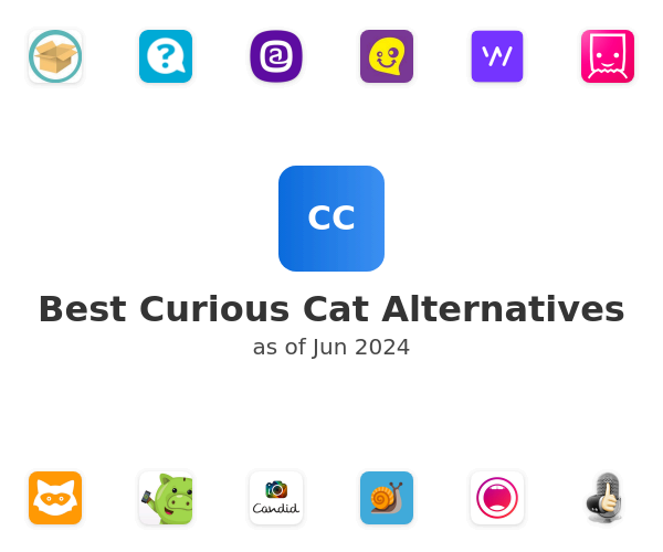 Best Curious Cat Alternatives