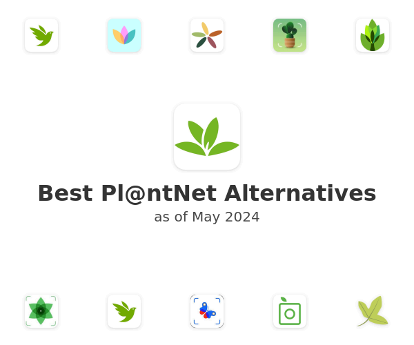 Best Pl@ntNet Alternatives