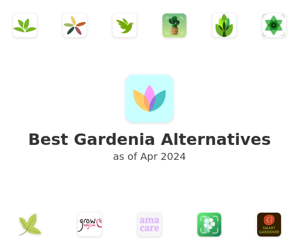 Best Gardenia Alternatives