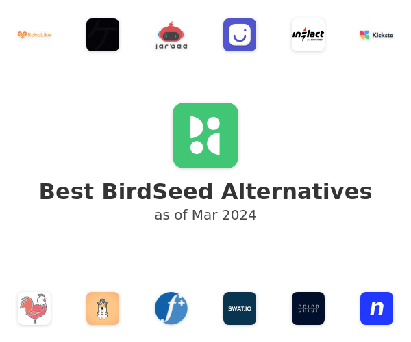 Best BirdSeed Alternatives