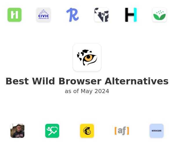 Best Wild Browser Alternatives