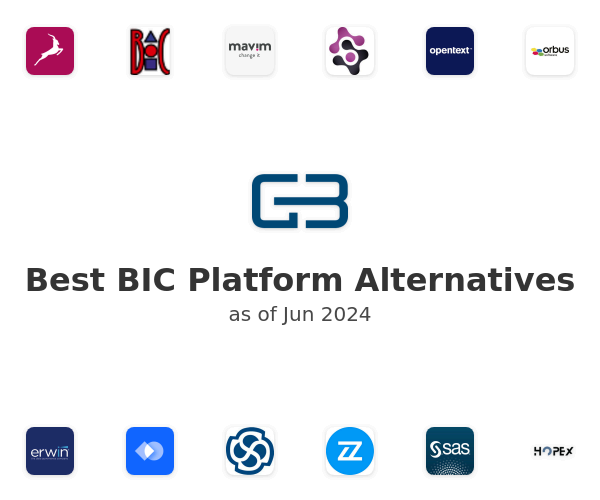 Best BIC Platform Alternatives