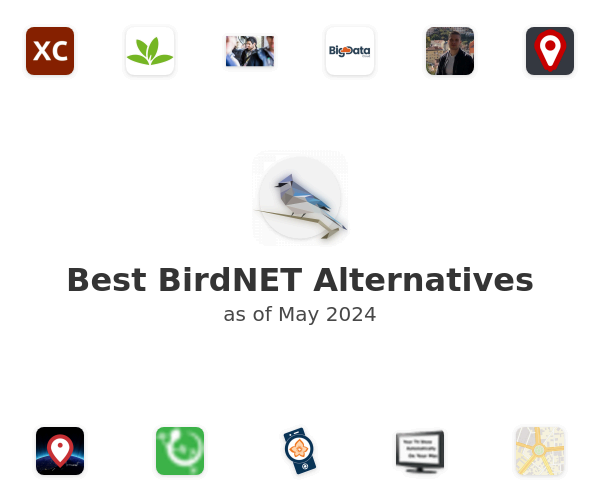 Best BirdNET Alternatives