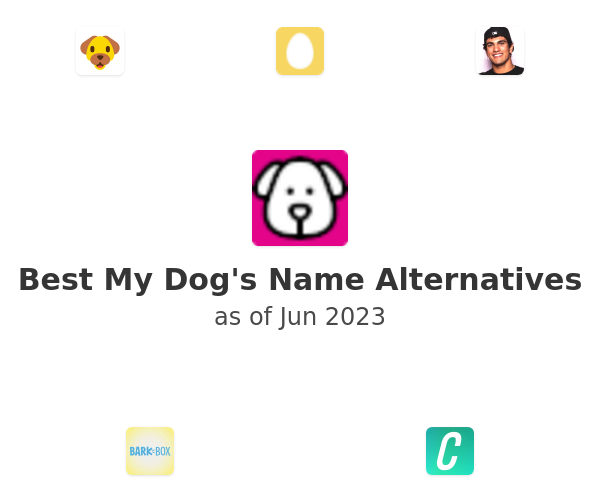Best My Dog's Name Alternatives