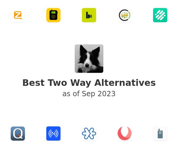 Best Two Way Alternatives