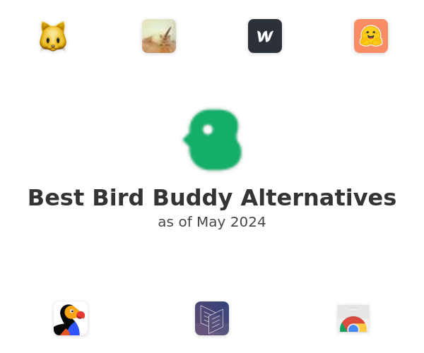Best Bird Buddy Alternatives