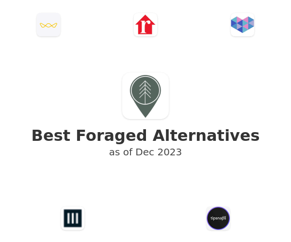 Best Foraged Alternatives