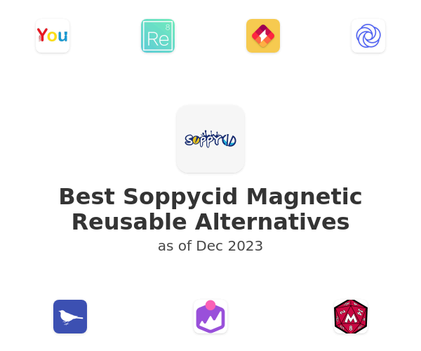 Best Soppycid Magnetic Reusable Alternatives