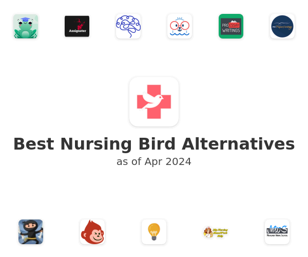 Best Nursing Bird Alternatives