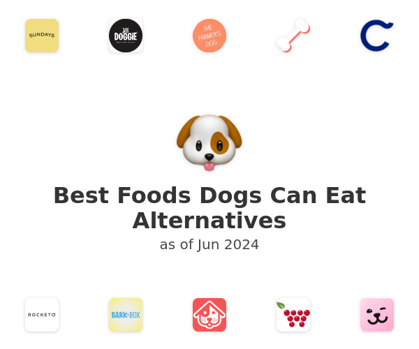 Best Foods Dogs Can Eat Alternatives