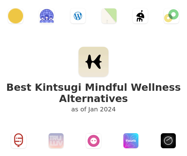 Best Kintsugi Mindful Wellness Alternatives