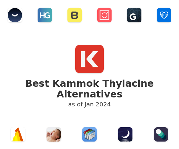 Best Kammok Thylacine Alternatives