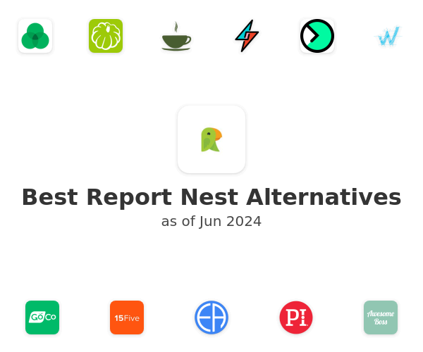 Best Report Nest Alternatives