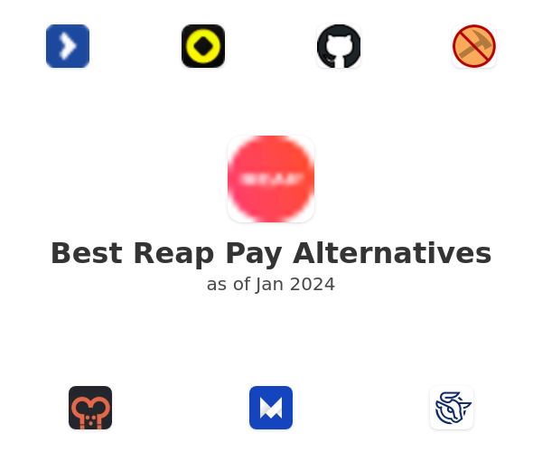 Best Reap Pay Alternatives