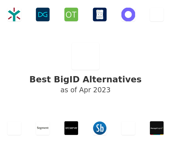 Best BigID Alternatives
