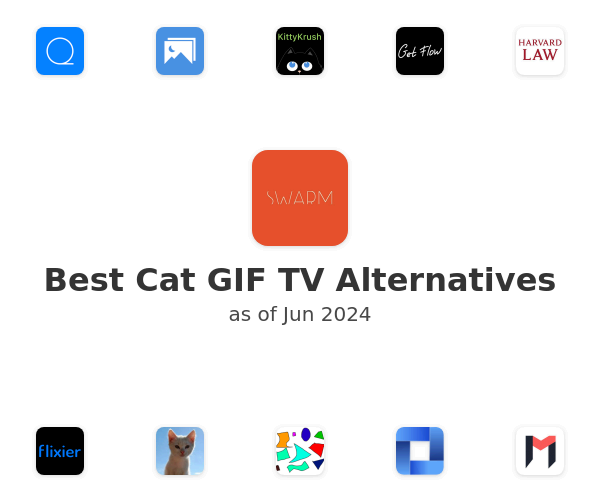 Best Cat GIF TV Alternatives