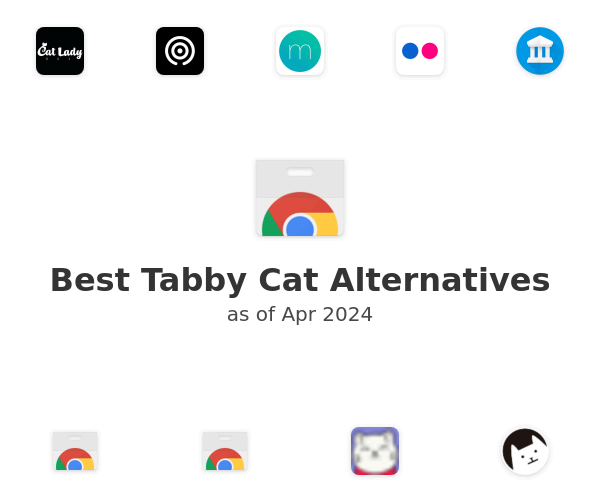 Best Tabby Cat Alternatives