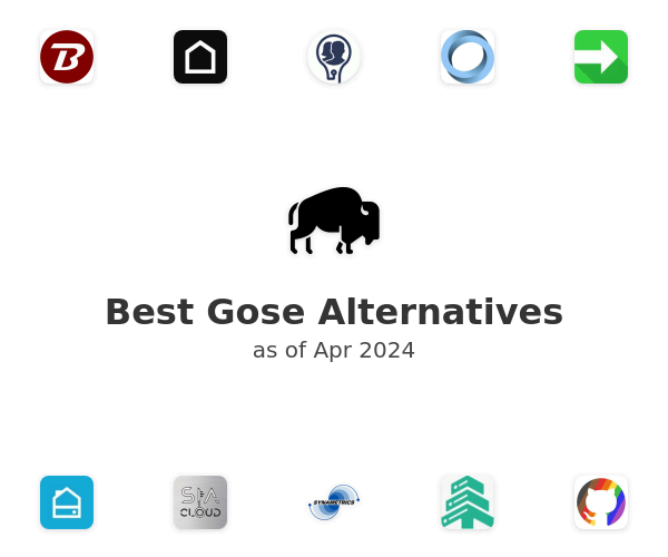 Best Gose Alternatives