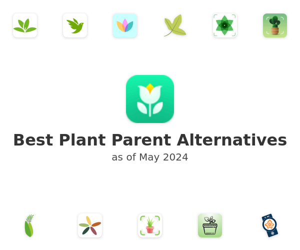 Best Plant Parent Alternatives