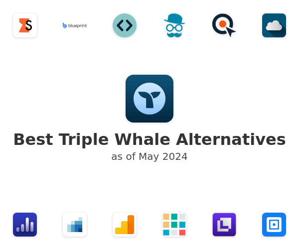 Best Triple Whale Alternatives