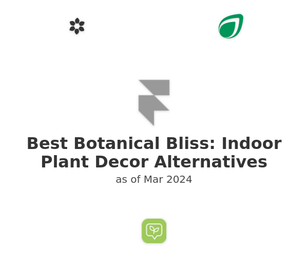 Best Botanical Bliss: Indoor Plant Decor Alternatives