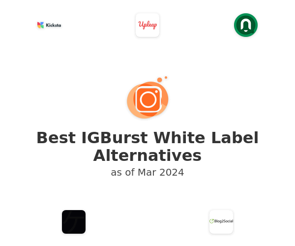 Best IGBurst White Label Alternatives