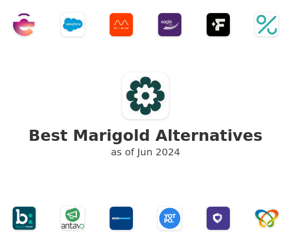 Best Marigold Alternatives