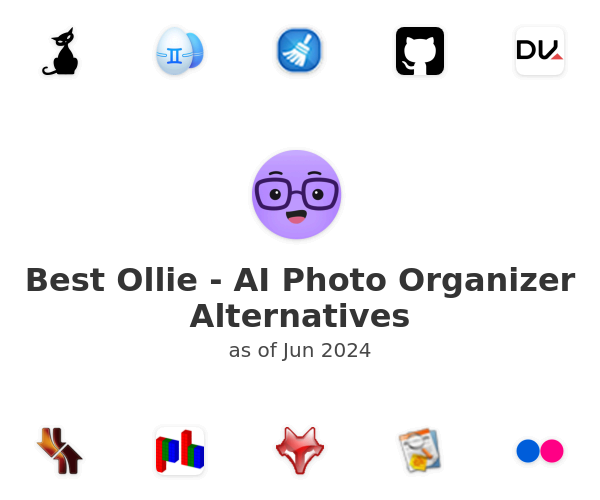 Best Ollie - AI Photo Organizer Alternatives