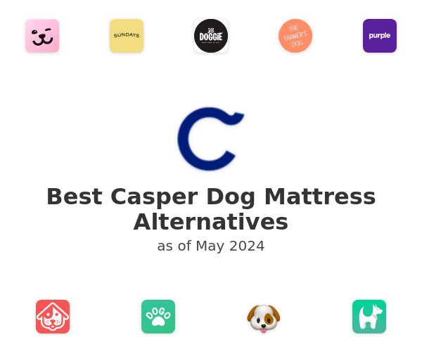 Best Casper Dog Mattress Alternatives