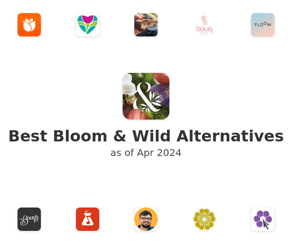 Best Bloom & Wild Alternatives