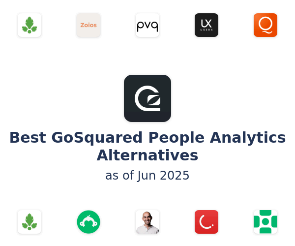 Best GoSquared People Analytics Alternatives